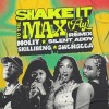 Shake it to the Max (Fly) - Remix